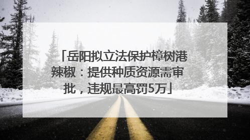 岳阳拟立法保护樟树港辣椒：提供种质资源需审批，违规最高罚5万