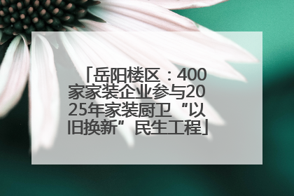 岳阳楼区：400家家装企业参与2025年家装厨卫“以旧换新”民生工程