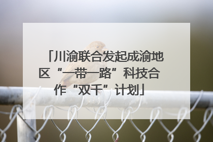 川渝联合发起成渝地区“一带一路”科技合作“双千”计划