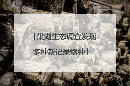 巢湖生态调查发现多种新记录物种