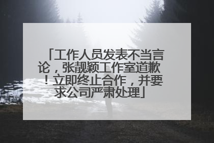 工作人员发表不当言论，张靓颖工作室道歉！立即终止合作，并要求公司严肃处理