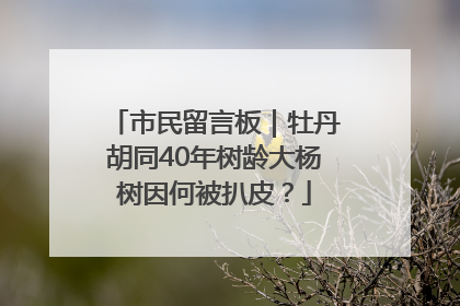 市民留言板｜牡丹胡同40年树龄大杨树因何被扒皮？