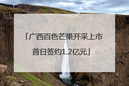 广西百色芒果开采上市 首日签约1.2亿元