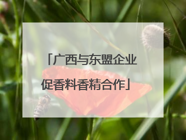 广西与东盟企业促香料香精合作