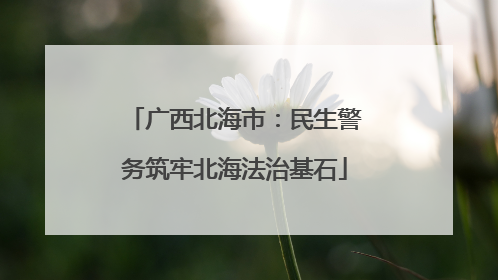 广西北海市：民生警务筑牢北海法治基石