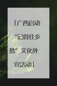 广西启动“记得住乡愁”文化外宣活动