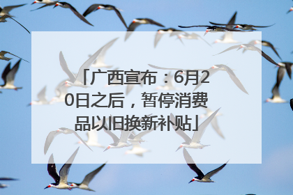 广西宣布：6月20日之后，暂停消费品以旧换新补贴