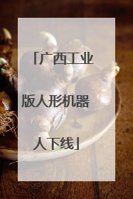 广西工业版人形机器人下线