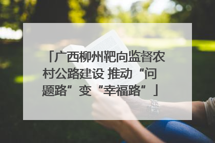 广西柳州靶向监督农村公路建设 推动“问题路”变“幸福路”