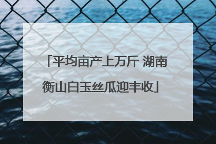 平均亩产上万斤 湖南衡山白玉丝瓜迎丰收