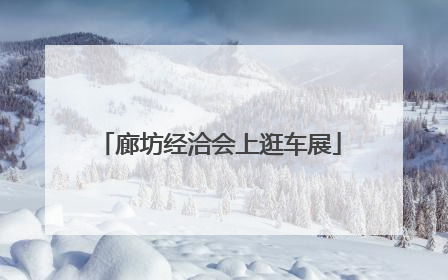 廊坊经洽会上逛车展