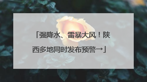 强降水、雷暴大风！陕西多地同时发布预警→