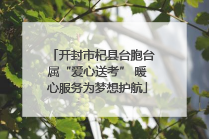 开封市杞县台胞台属“爱心送考” 暖心服务为梦想护航