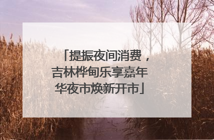 提振夜间消费，吉林桦甸乐享嘉年华夜市焕新开市