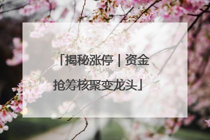 揭秘涨停｜资金抢筹核聚变龙头