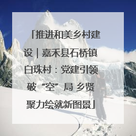 推进和美乡村建设｜嘉禾县石桥镇白珠村：党建引领破“空”局 乡贤聚力绘就新图景