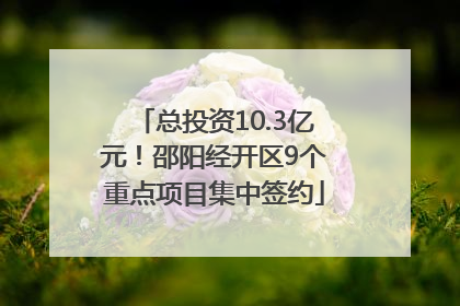 总投资10.3亿元！邵阳经开区9个重点项目集中签约
