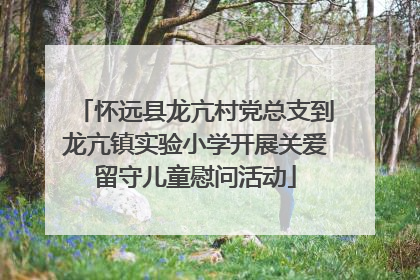 怀远县龙亢村党总支到龙亢镇实验小学开展关爱留守儿童慰问活动