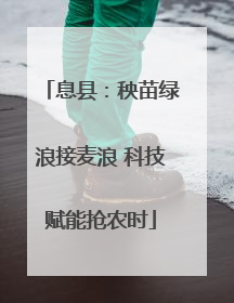 息县：秧苗绿浪接麦浪 科技赋能抢农时