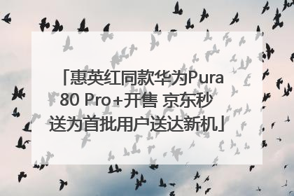 惠英红同款华为Pura 80 Pro+开售 京东秒送为首批用户送达新机