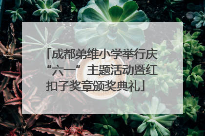 成都弟维小学举行庆“六一”主题活动暨红扣子奖章颁奖典礼