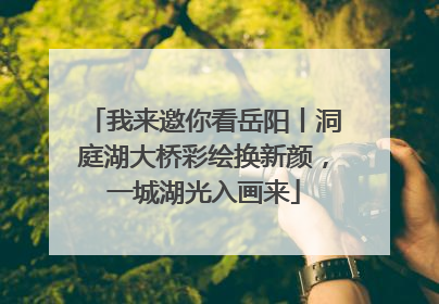 我来邀你看岳阳丨洞庭湖大桥彩绘换新颜，一城湖光入画来