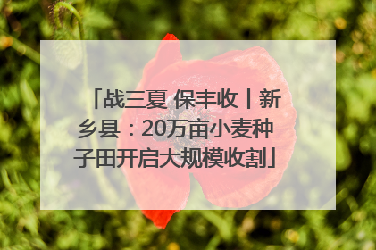 战三夏 保丰收丨新乡县：20万亩小麦种子田开启大规模收割