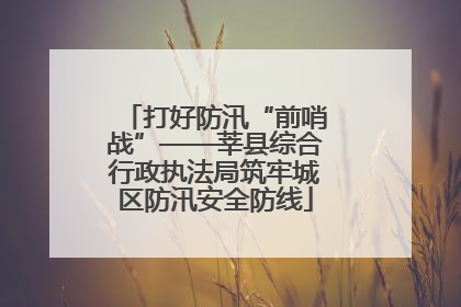 打好防汛“前哨战”——莘县综合行政执法局筑牢城区防汛安全防线