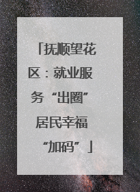 抚顺望花区:就业服务“出圈” 居民幸福“加码”