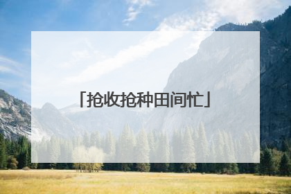抢收抢种田间忙
