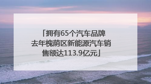 拥有65个汽车品牌 去年槐荫区新能源汽车销售额达113.9亿元