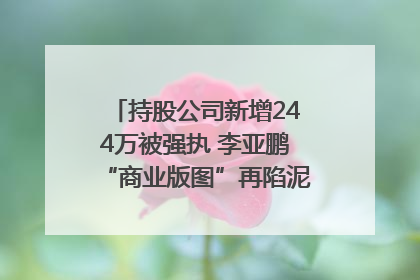持股公司新增244万被强执 李亚鹏“商业版图”再陷泥潭？｜科技观察