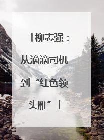 柳志强：从滴滴司机到“红色领头雁”
