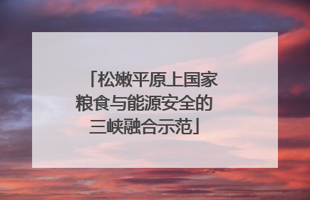 松嫩平原上国家粮食与能源安全的三峡融合示范