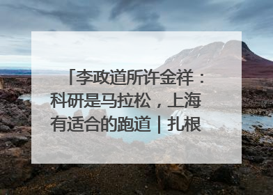 李政道所许金祥：科研是马拉松，上海有适合的跑道｜扎根上海，从0到1
