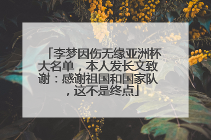 李梦因伤无缘亚洲杯大名单，本人发长文致谢：感谢祖国和国家队，这不是终点