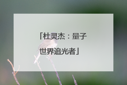 杜灵杰：量子世界追光者