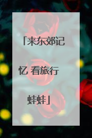 来东郊记忆 看旅行蛙蛙