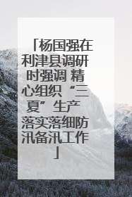 杨国强在利津县调研时强调 精心组织“三夏”生产 落实落细防汛备汛工作