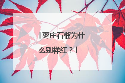 枣庄石榴为什么别样红？