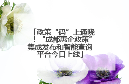 政策“码”上通晓！“成都惠企政策”集成发布和智能查询平台今日上线