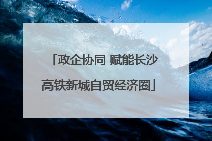 政企协同 赋能长沙高铁新城自贸经济圈