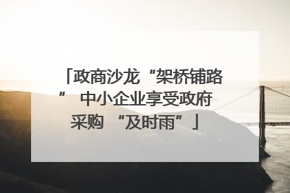 政商沙龙“架桥铺路” 中小企业享受政府采购 “及时雨”