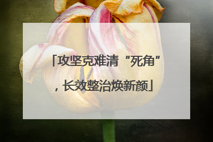 攻坚克难清“死角”，长效整治焕新颜