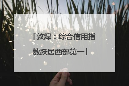 敦煌：综合信用指数跃居西部第一