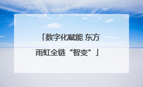 数字化赋能 东方雨虹全链“智变”