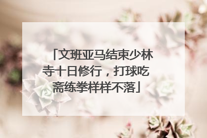 文班亚马结束少林寺十日修行，打球吃斋练拳样样不落