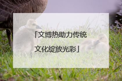 文博热助力传统文化绽放光彩