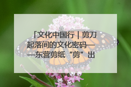 文化中国行｜剪刀起落间的文化密码——东营剪纸“剪”出非遗传承与现代生活的融合之道