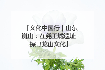 文化中国行｜山东岚山：在尧王城遗址探寻龙山文化